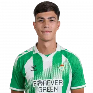 player image