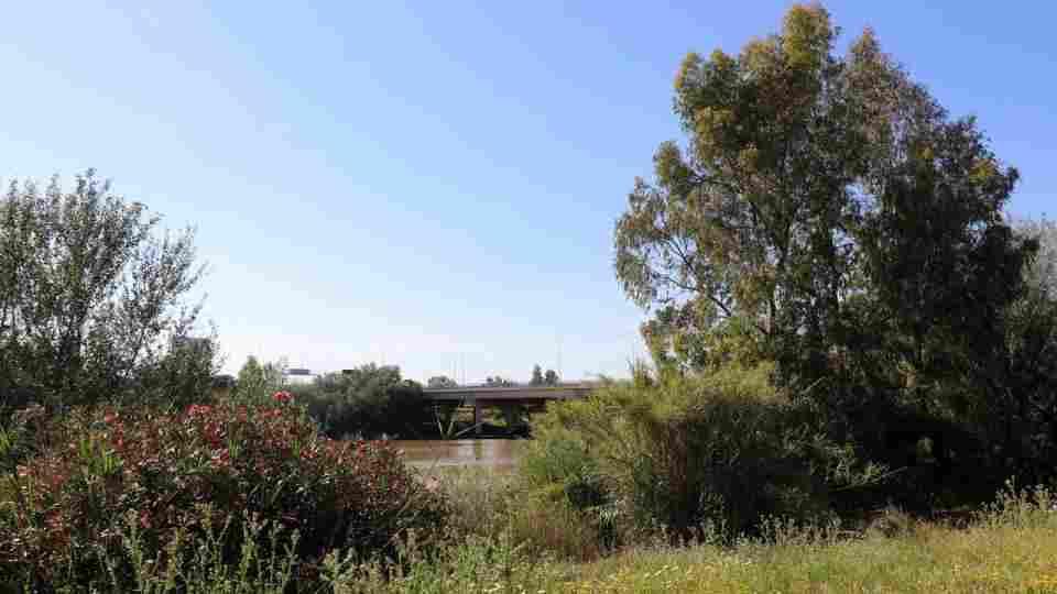 Súmate al reto de limpiar el entorno del cauce del Guadalquivir