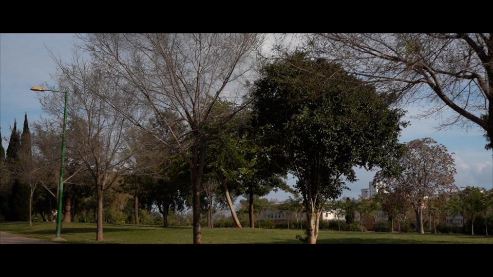  El Real Betis lanza una campaña de sensibilización para el cuidado de las zonas verdes aleñadas al Villamarín los días de partido
