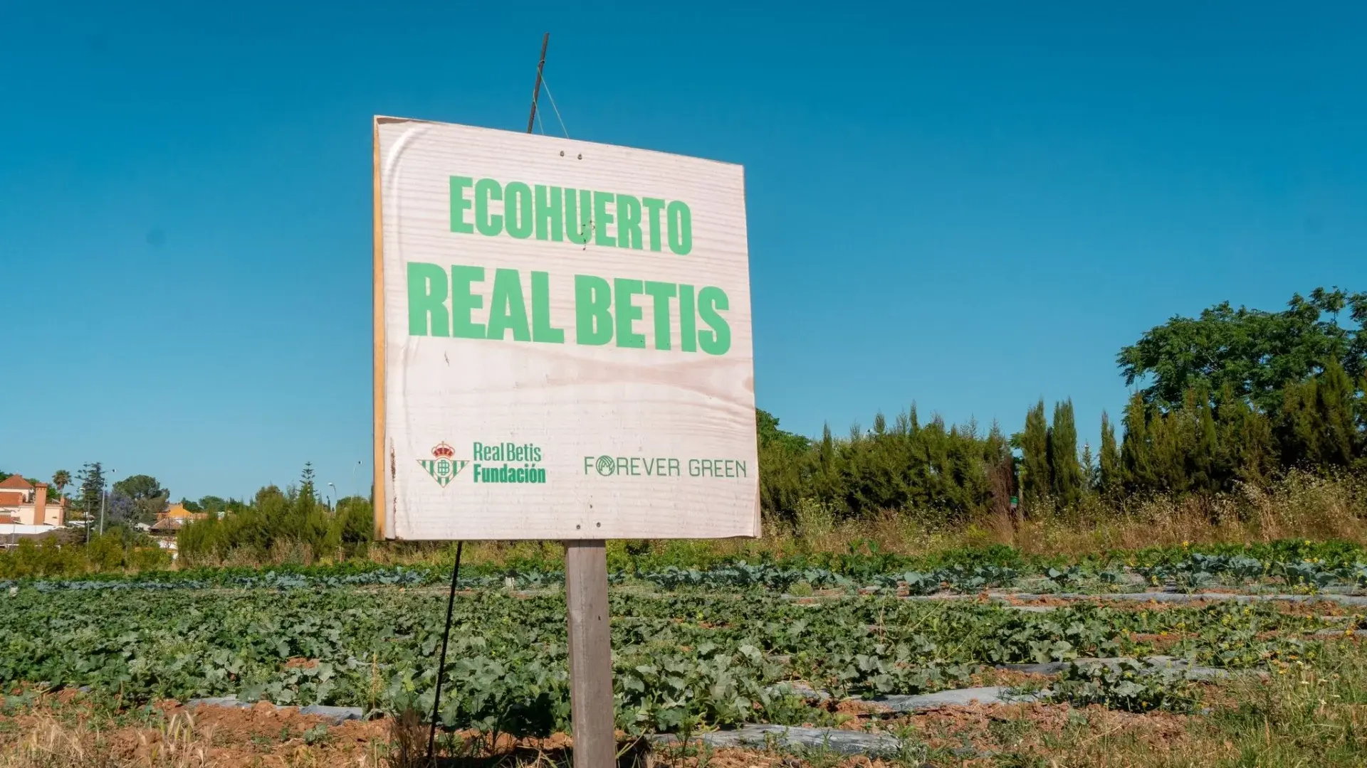 Asociación Amiga: Bioalverde