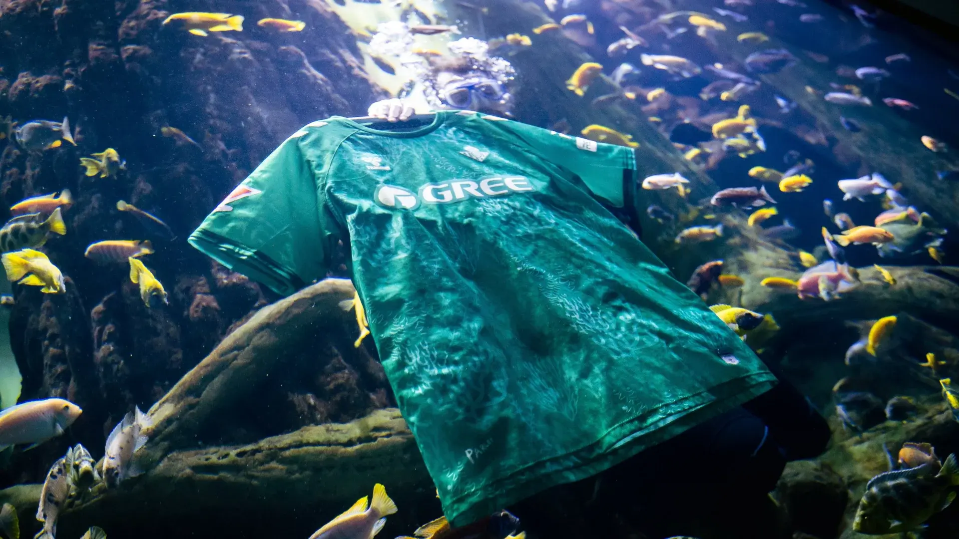 El Real Betis diseña la primera camiseta fabricada a partir de algas marinas dentro de la campaña 'Sin azul no hay verde'