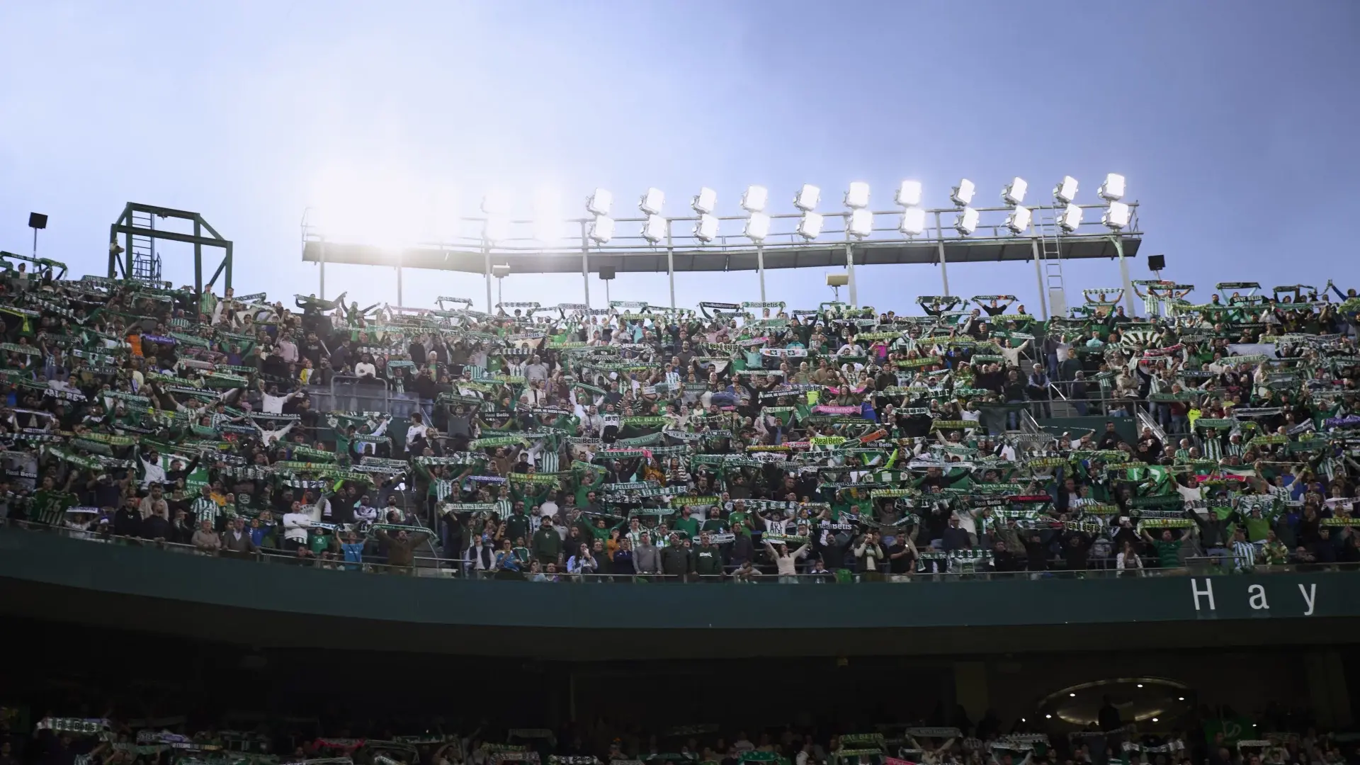 El Real Betis cierra el plazo de altas para las categorías 'Palmerín y 'Soy Bético'